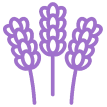 cta-icon